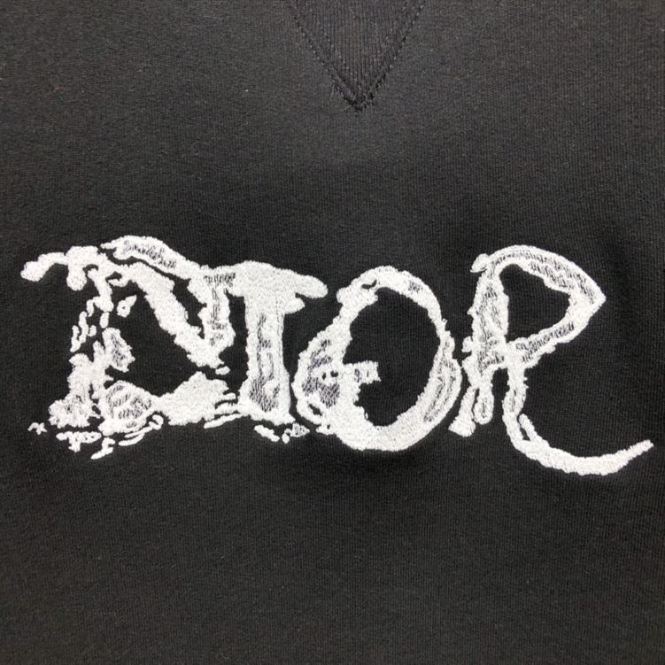 DIOR AND PETER DOIG HOODED SWEATSHIRT BLACK