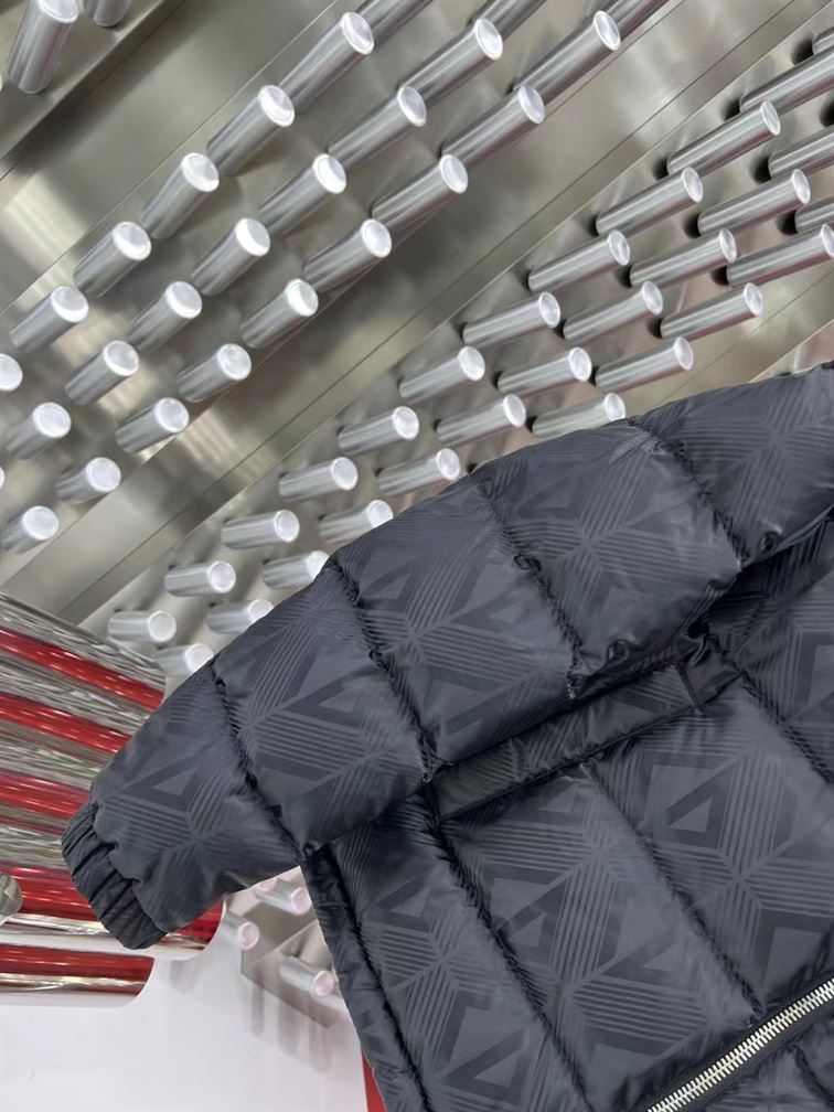 DIOR DOWN JACKET - DRC010