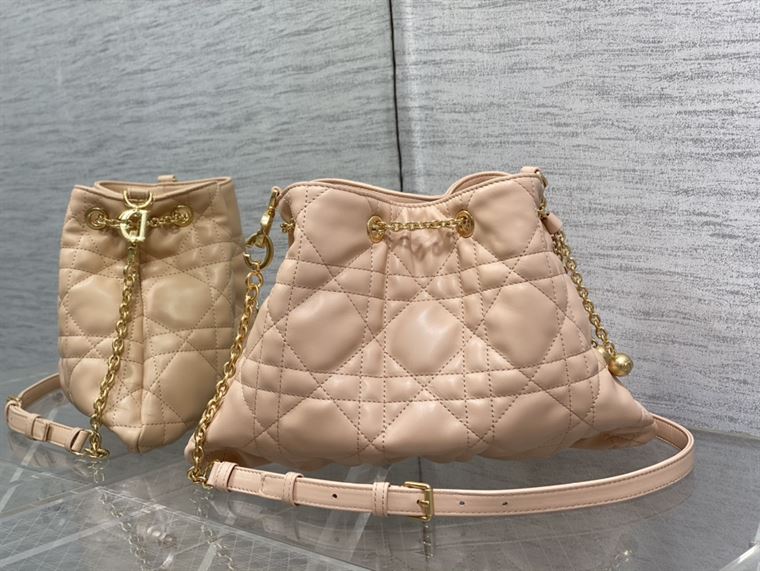DIOR MEDIUM DIOR AMMI BAG SAND PINK