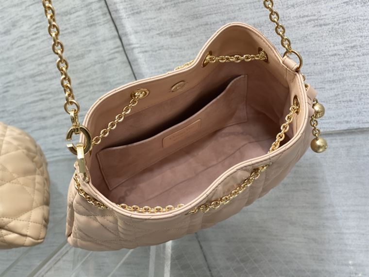 DIOR MEDIUM DIOR AMMI BAG SAND PINK