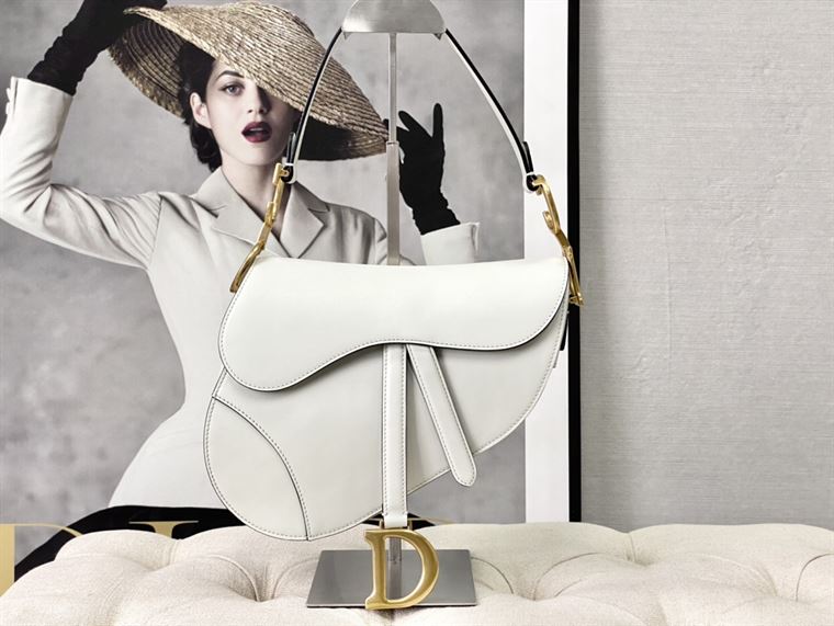 DIOR SADDLE BAG WITH STRAP