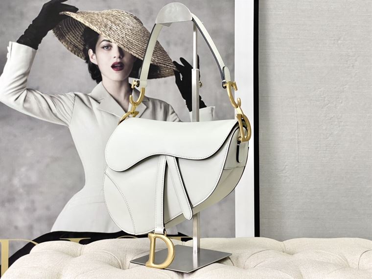 DIOR SADDLE BAG WITH STRAP