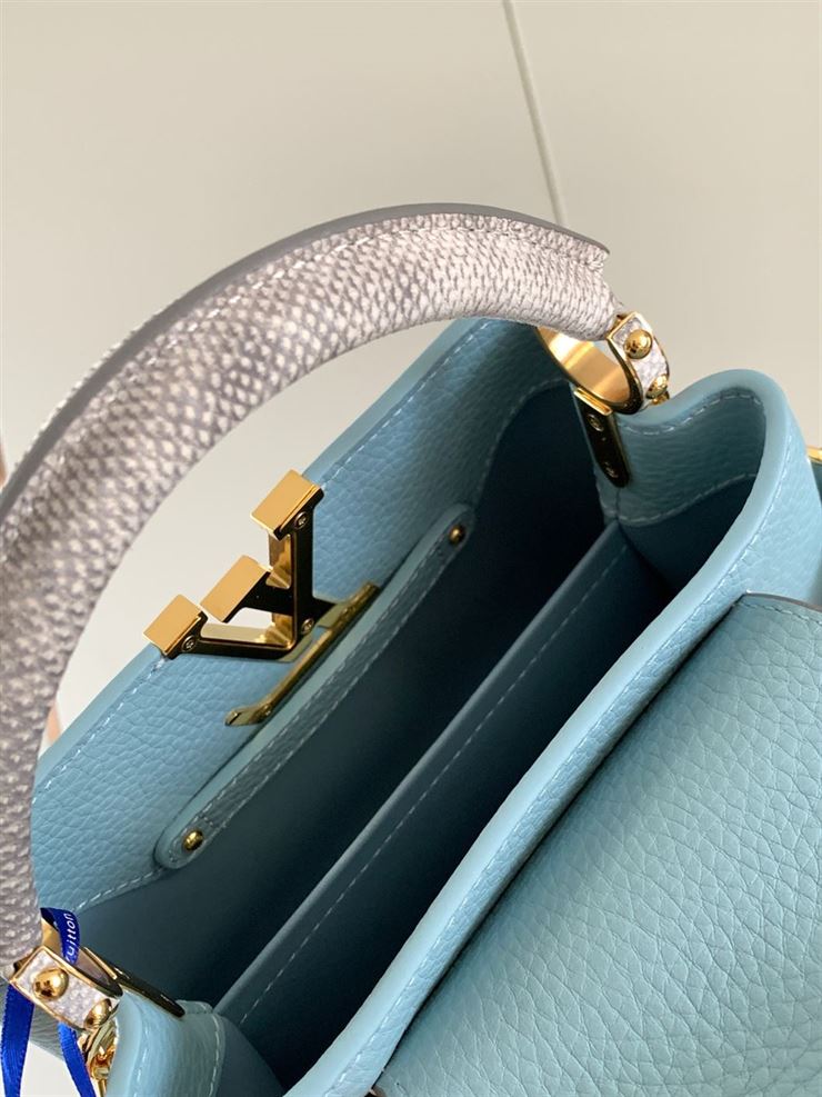 LOUIS VUITTON CAPUCINES MINI