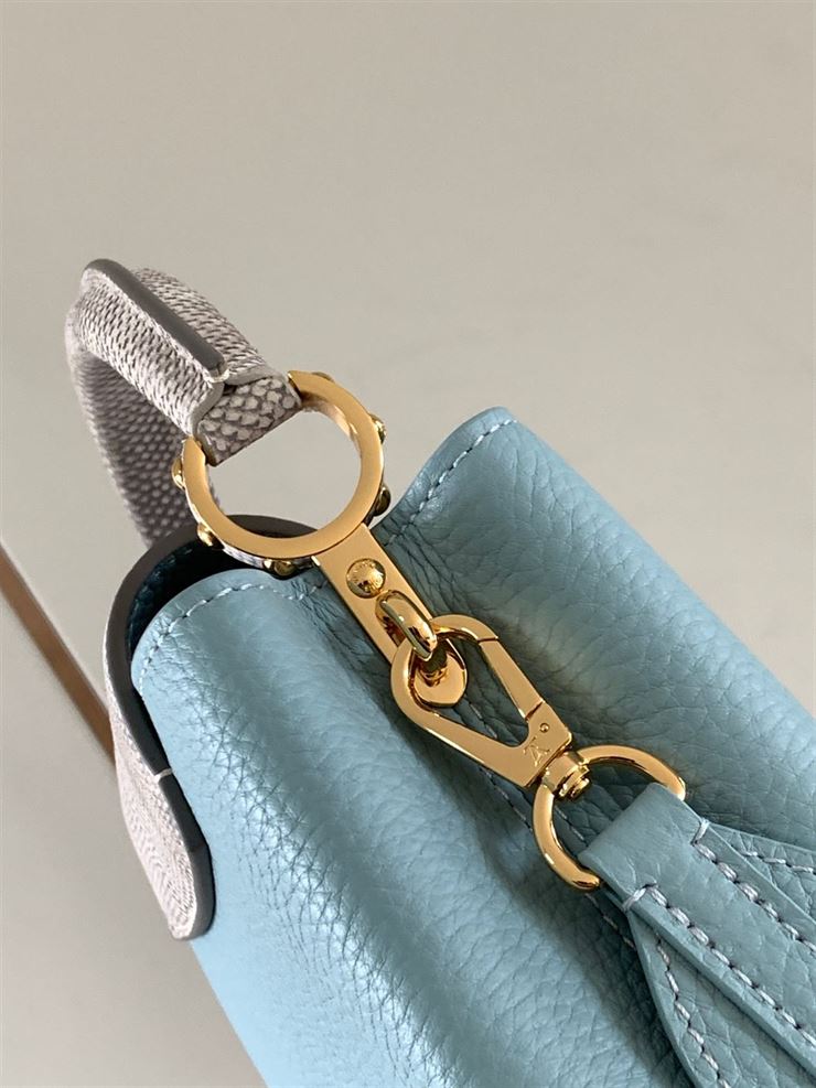 LOUIS VUITTON CAPUCINES MINI