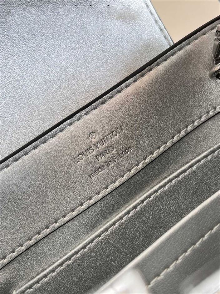 LOUIS VUITTON CAPUCINES MINI Silver
