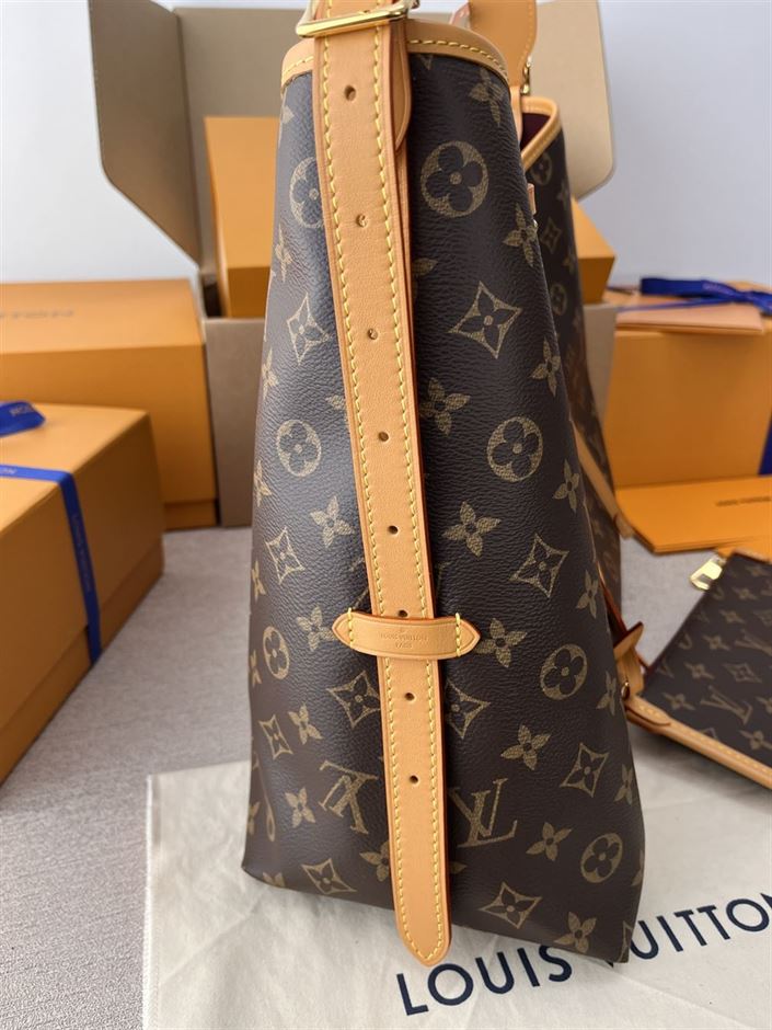 LOUIS VUITTON CARRYALL MM MONOGRAM