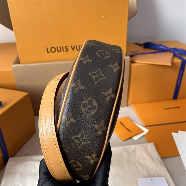 LOUIS VUITTON LOOP HANDBAG MONOGRAM BROWN
