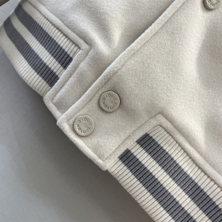 LOUIS VUITTON MULTI PATCHES MIXED LEATHER VARSITY BLOUSON - LVC014