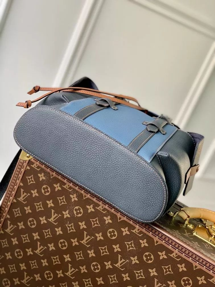 Louis Vuitton Bags
