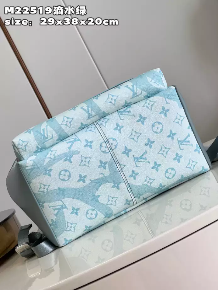 Louis Vuitton Bags