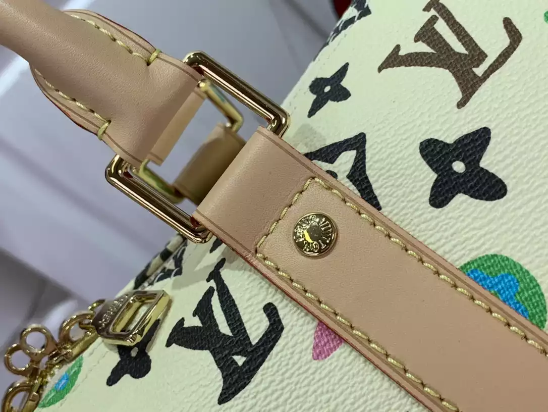 Louis Vuitton Bags