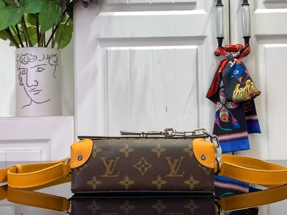 Louis Vuitton Bags