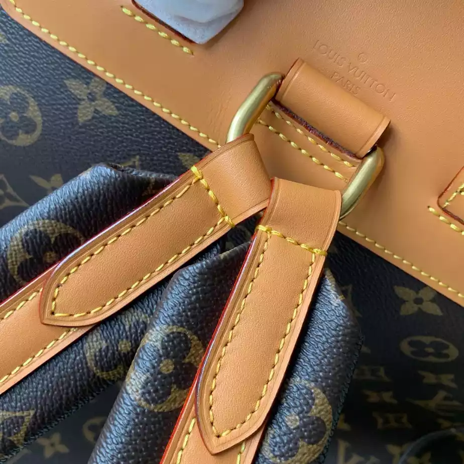 Louis Vuitton Bags