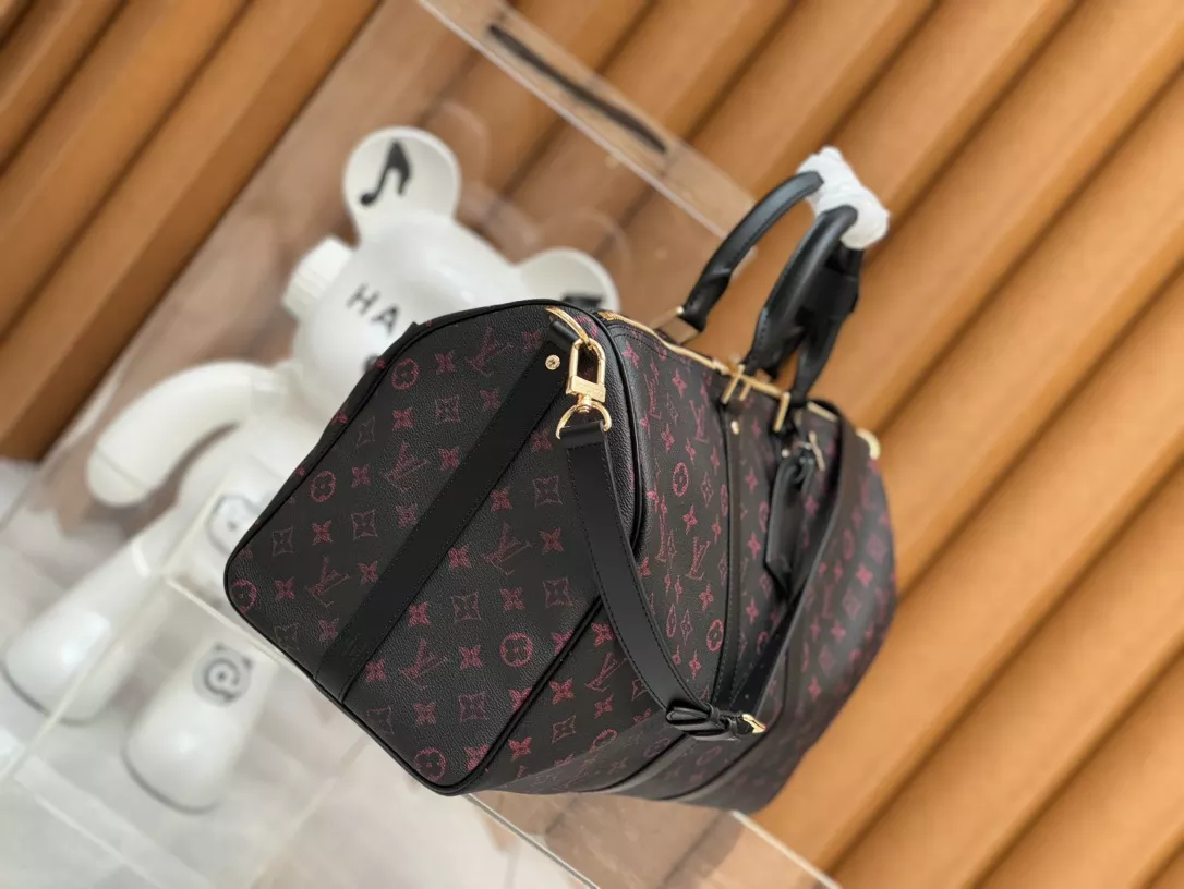 Louis Vuitton Bags