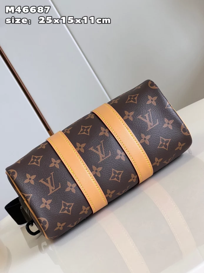 Louis Vuitton Bags