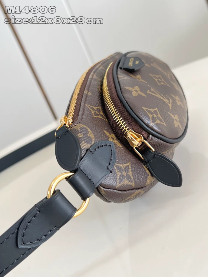 Louis Vuitton Bags