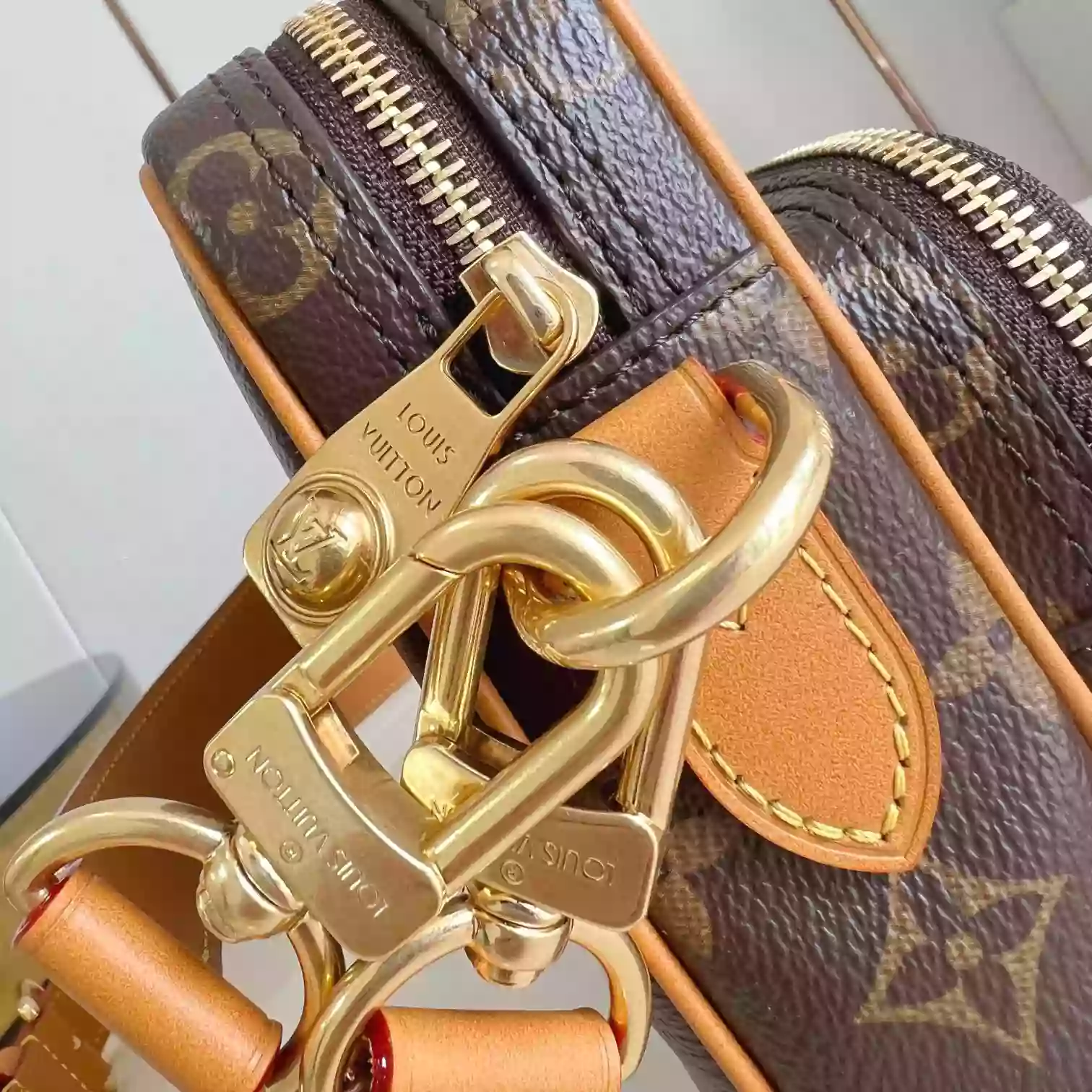 Louis Vuitton Bags