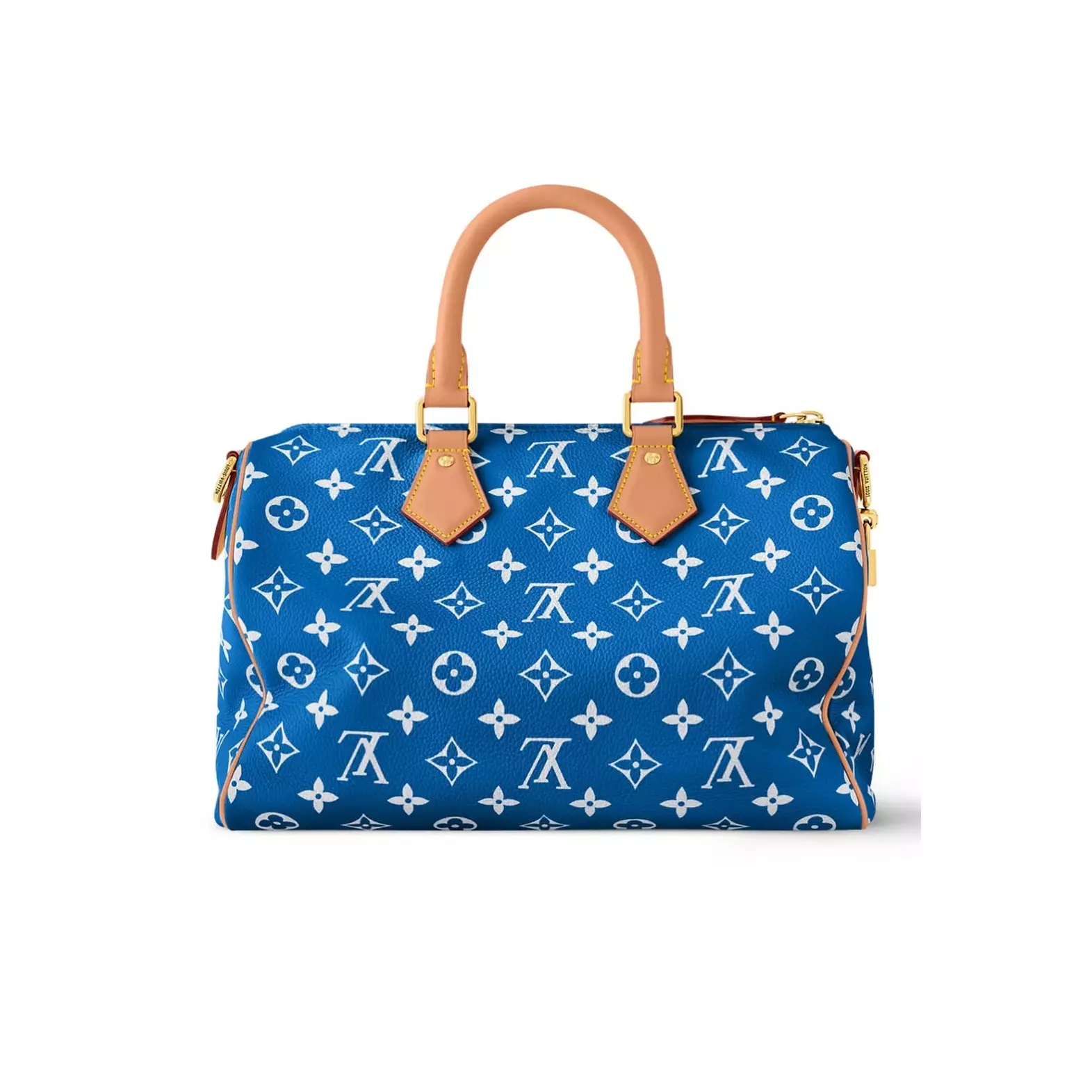 Louis Vuitton Bags