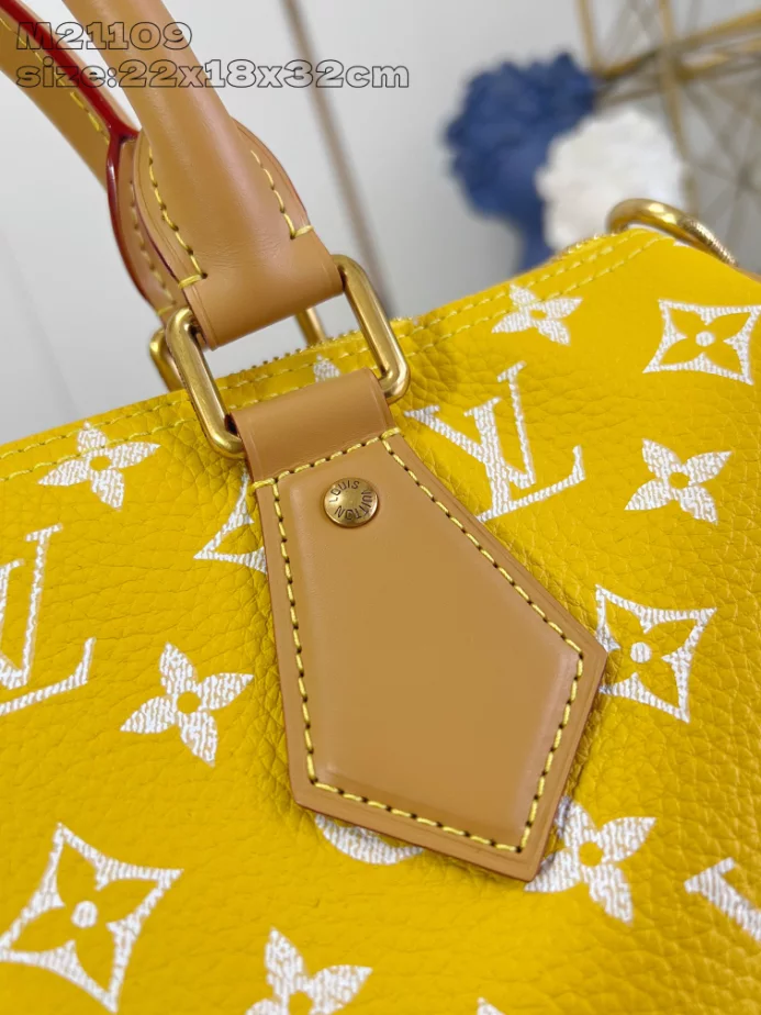 Louis Vuitton Bags