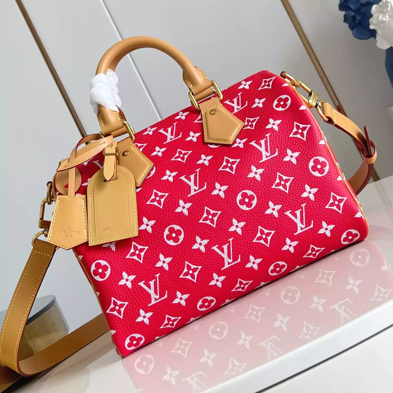 Louis Vuitton Bags