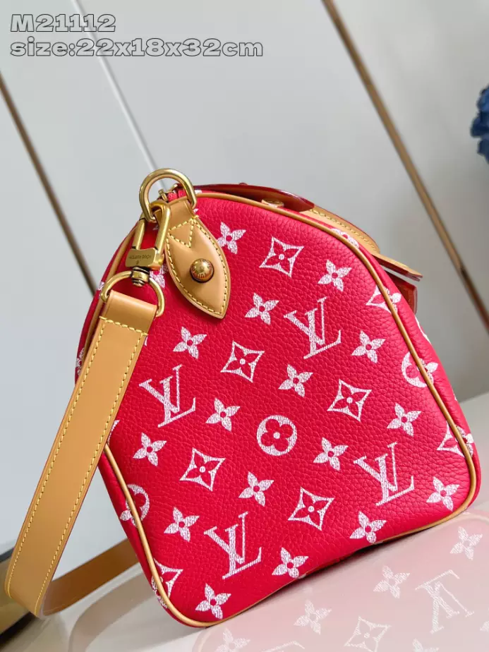 Louis Vuitton Bags