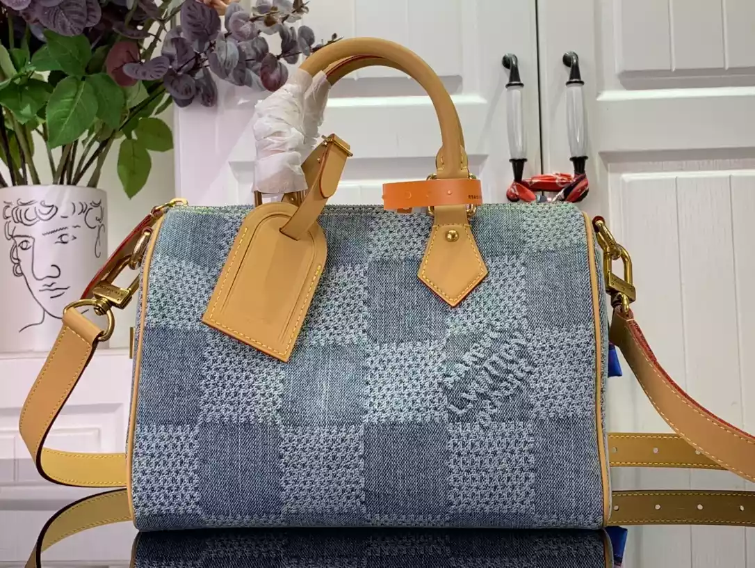 Louis Vuitton Bags