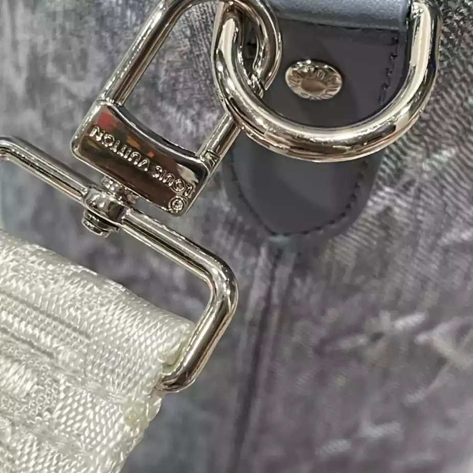 Louis Vuitton Bags